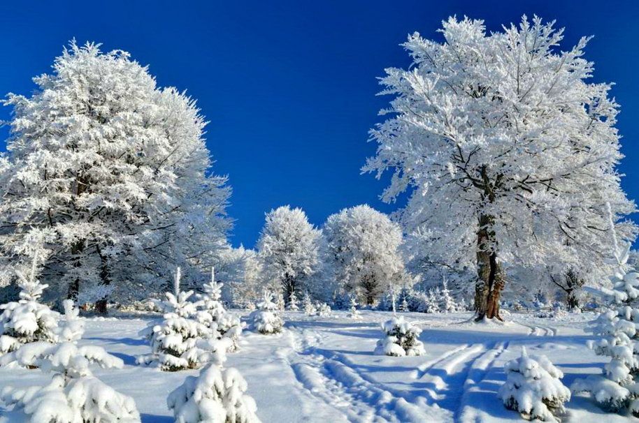 30 ноябрь – 6 декабрьгә йолдызнамә