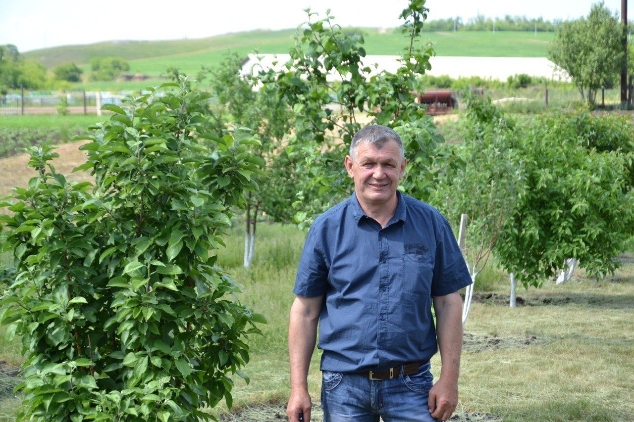 «ИМАН ҺӘМ ӘХЛАК САФЛЫГЫ ӨЧЕН» конкурсында Әлмәттән катнашучы бар