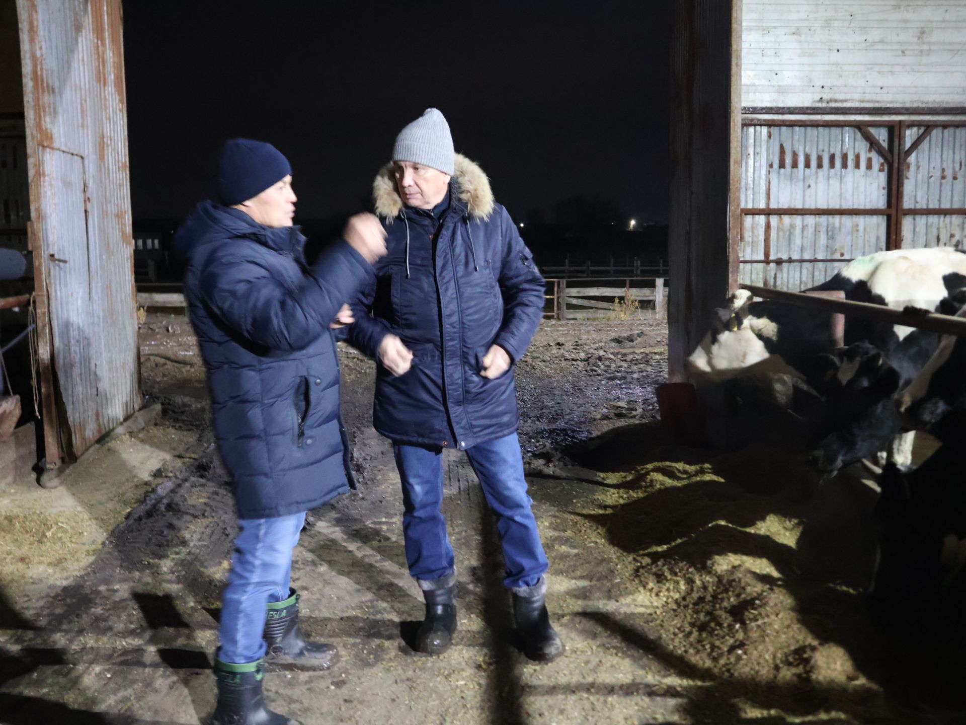 «Башак» хуҗалыгында җитәкчеләрне көр савым сыерлары каршы алды