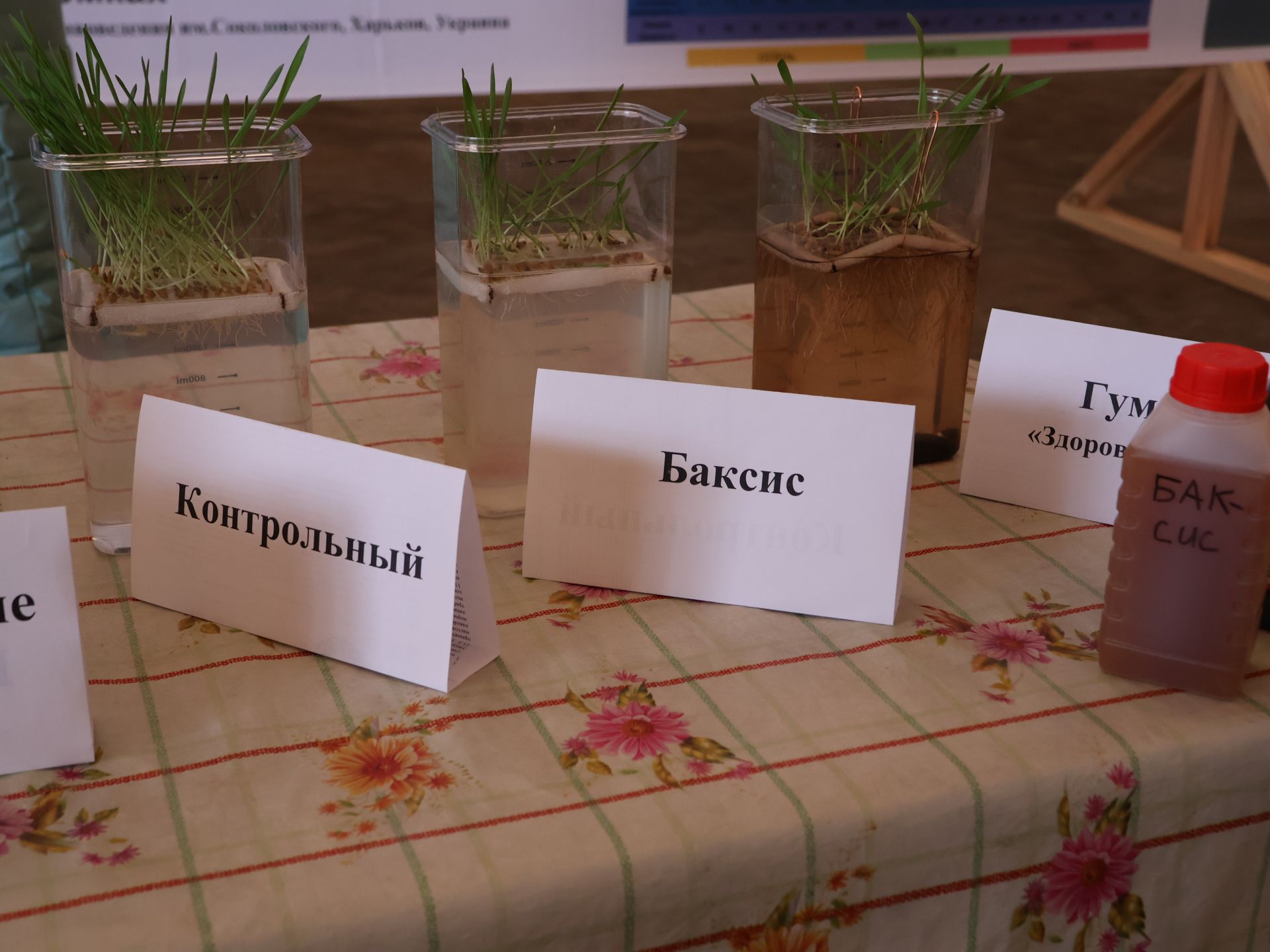 Актаныш районы аграрийлары язгы кыр эшләренә әзер (фотолар)
