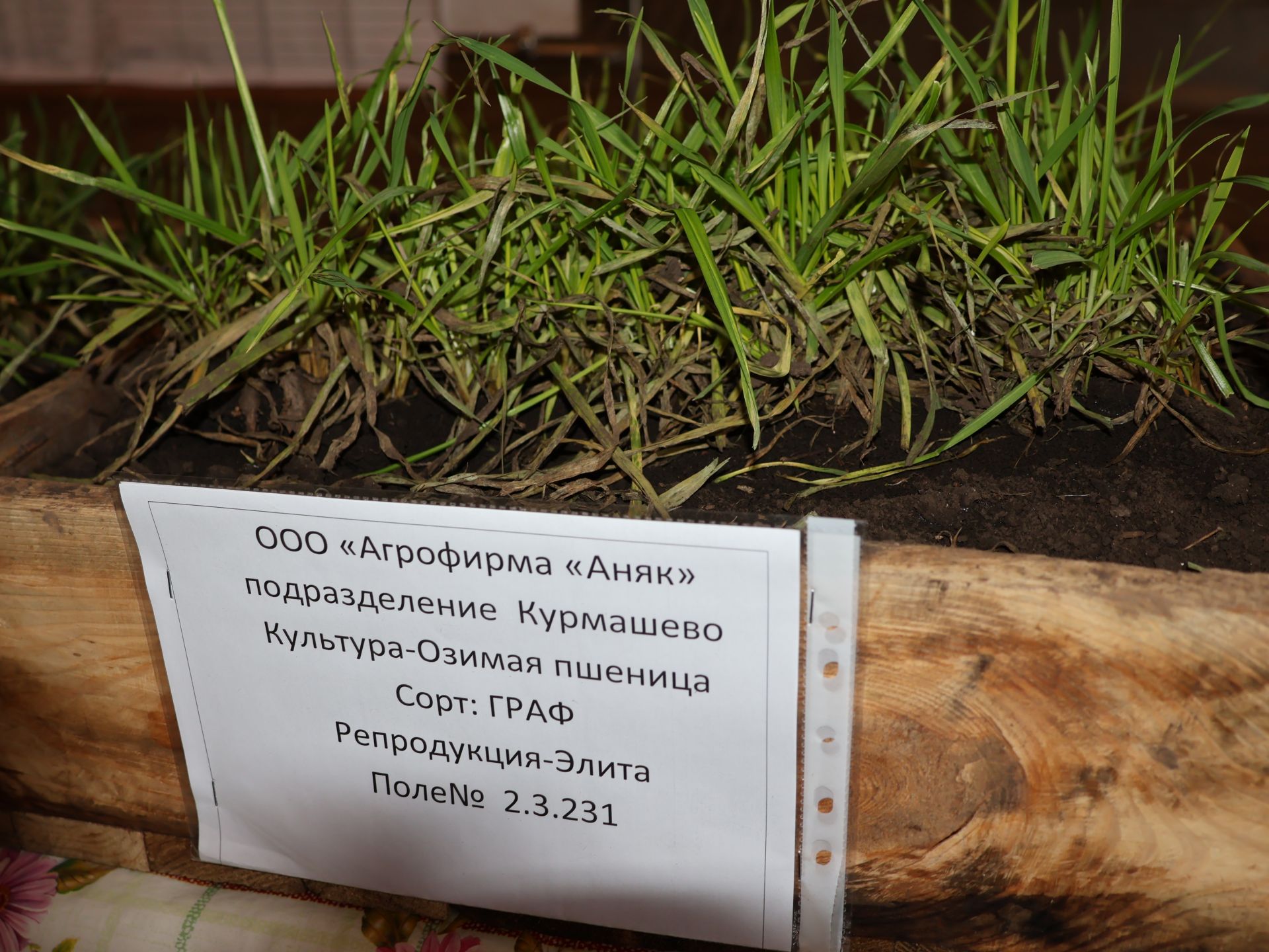 Актаныш районы аграрийлары язгы кыр эшләренә әзер (фотолар)