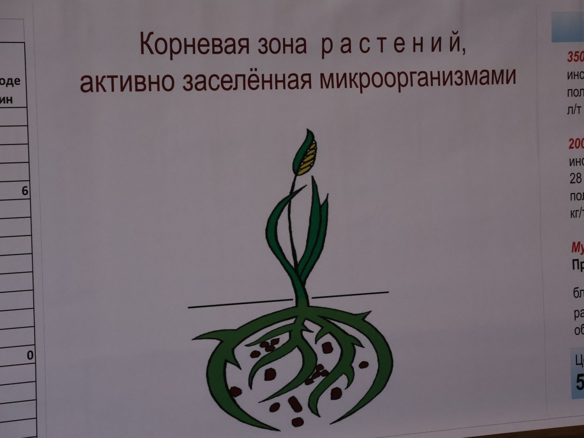 Актаныш районы аграрийлары язгы кыр эшләренә әзер (фотолар)