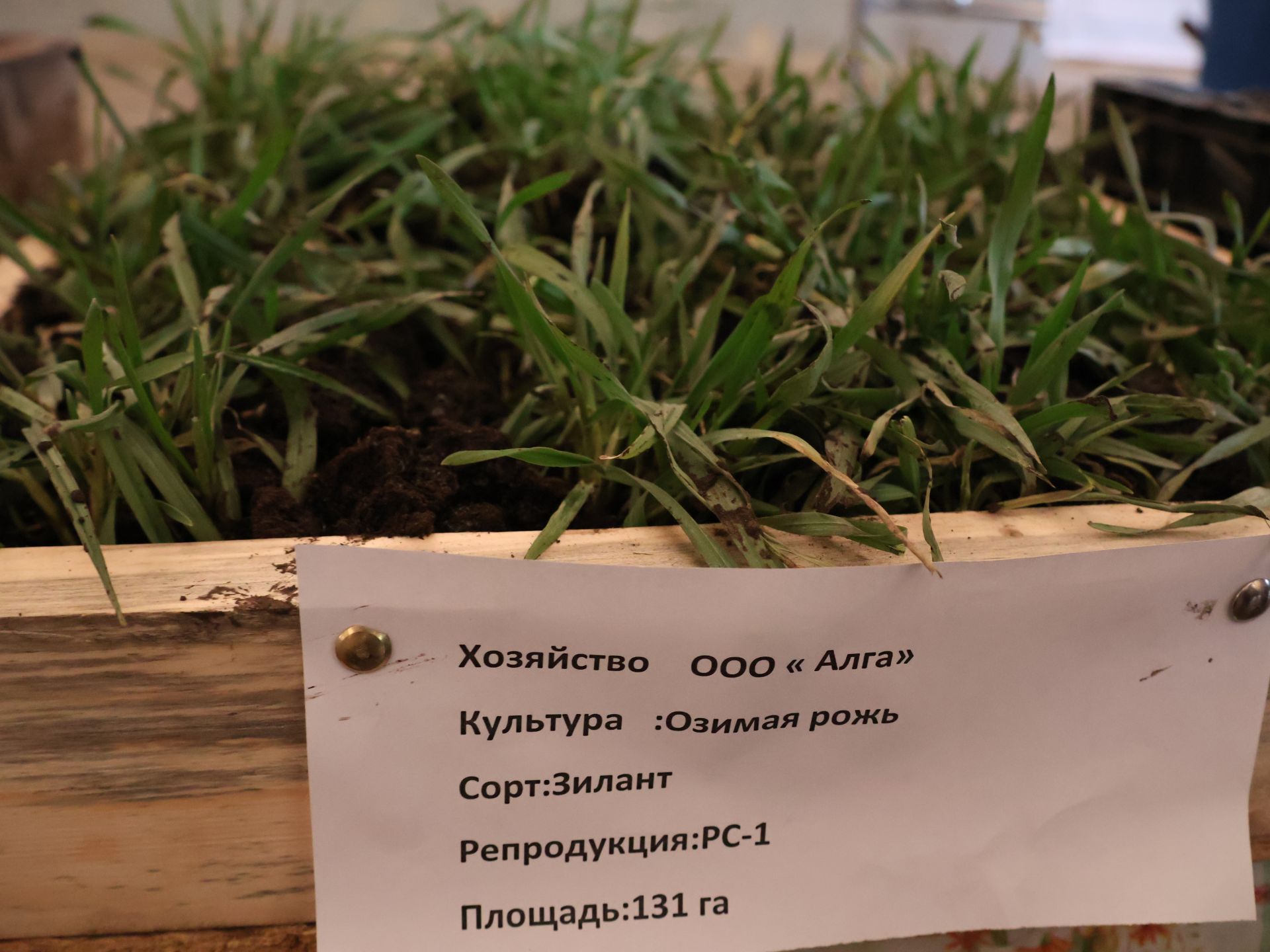 Актаныш районы аграрийлары язгы кыр эшләренә әзер (фотолар)