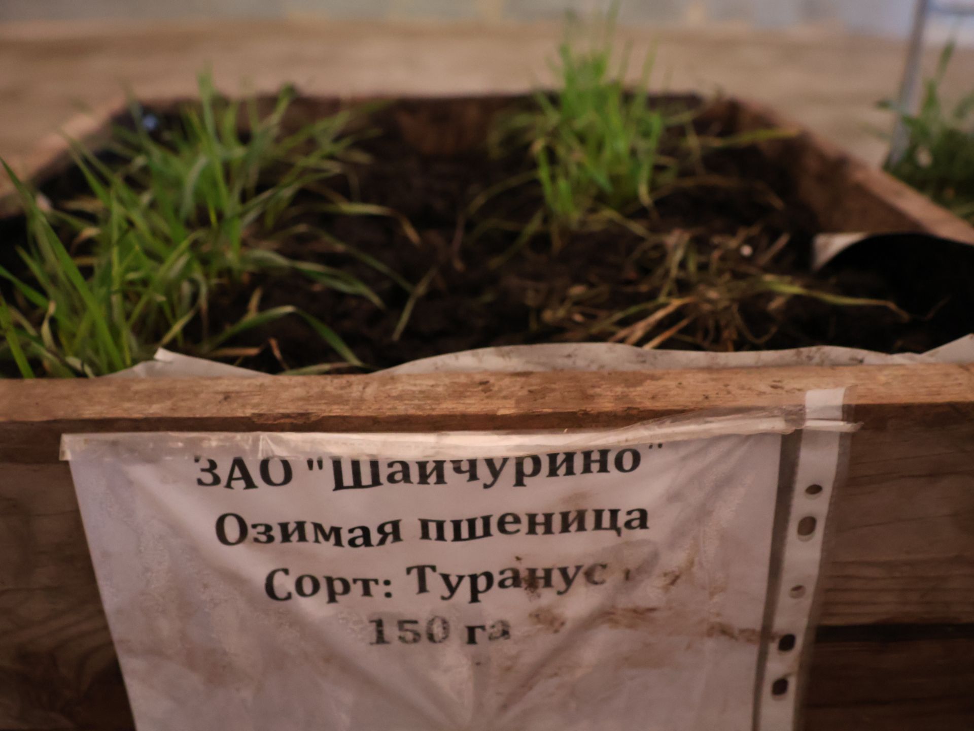 Актаныш районы аграрийлары язгы кыр эшләренә әзер (фотолар)