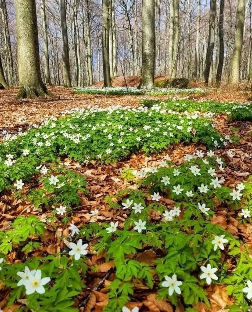 Ураза гаетенә 13 градуска кадәр җылытачак