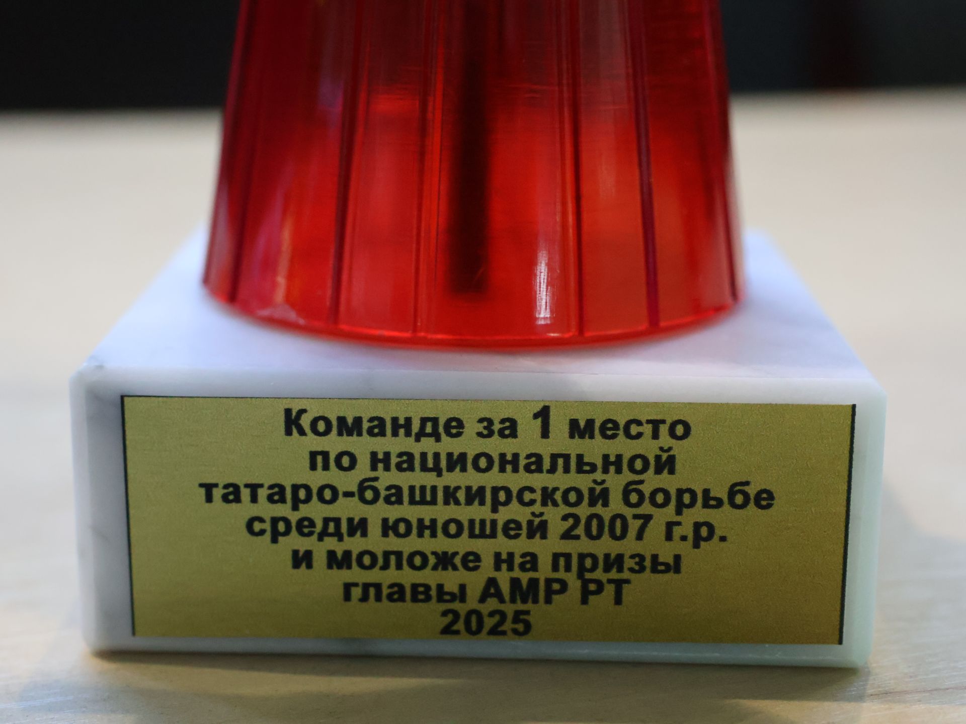Актаныш районы башлыгы Кубогын отучы мәктәпләр билгеле (фотолар)