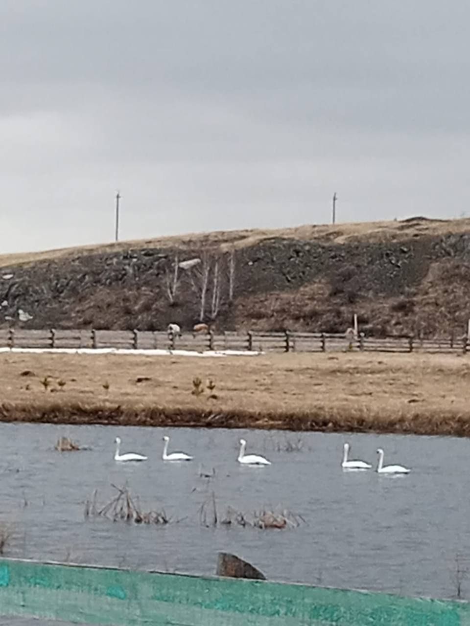 Бүген +20 градуска кадәр җылытачак