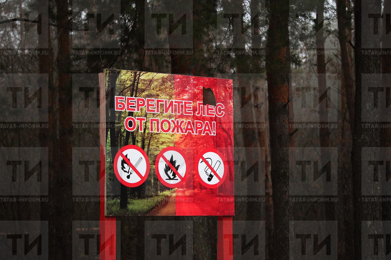 Актанышта 14 апрельдән 11 майга кадәр янгынга каршы махсус режим гамәлдә