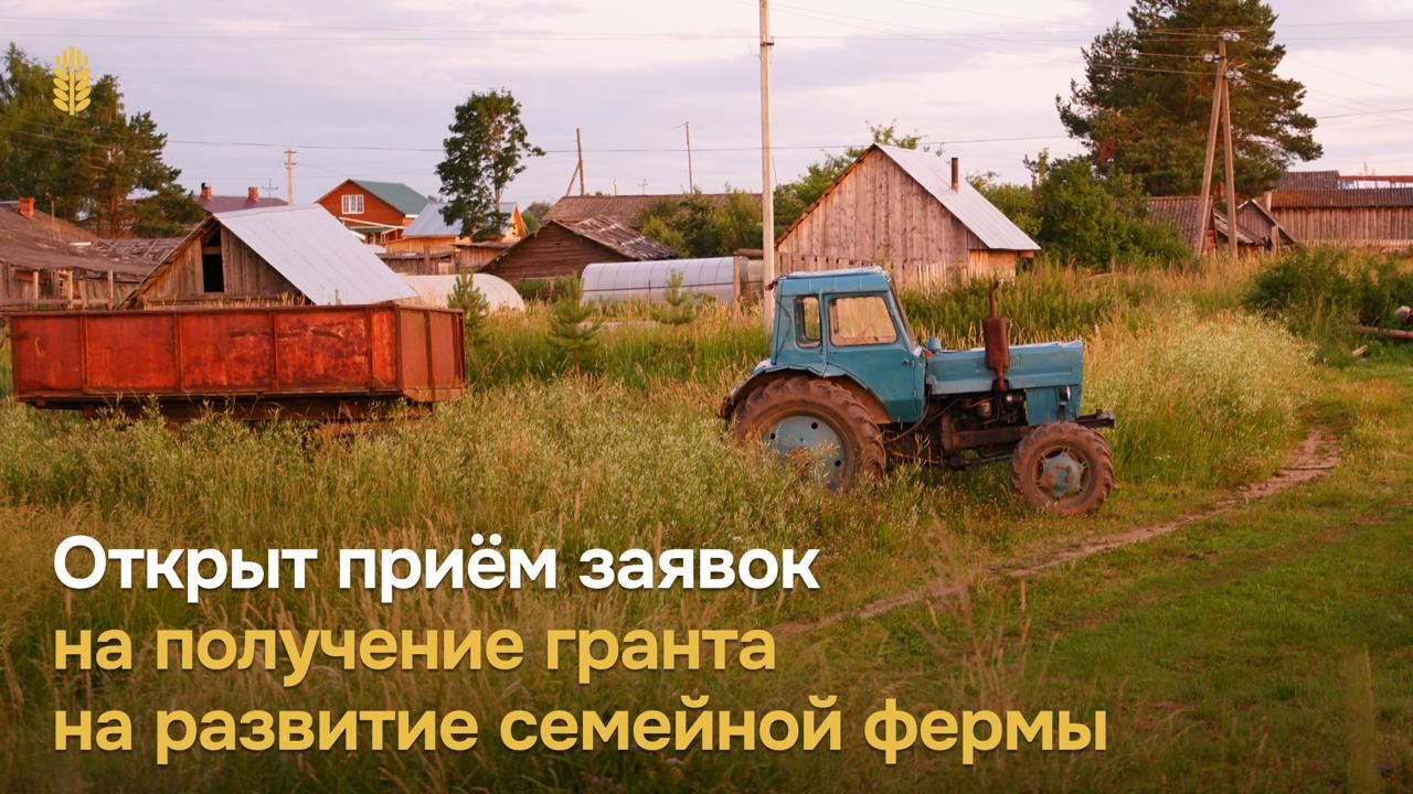 Принимаем заявки на получение гранта на развитие семейной фермы