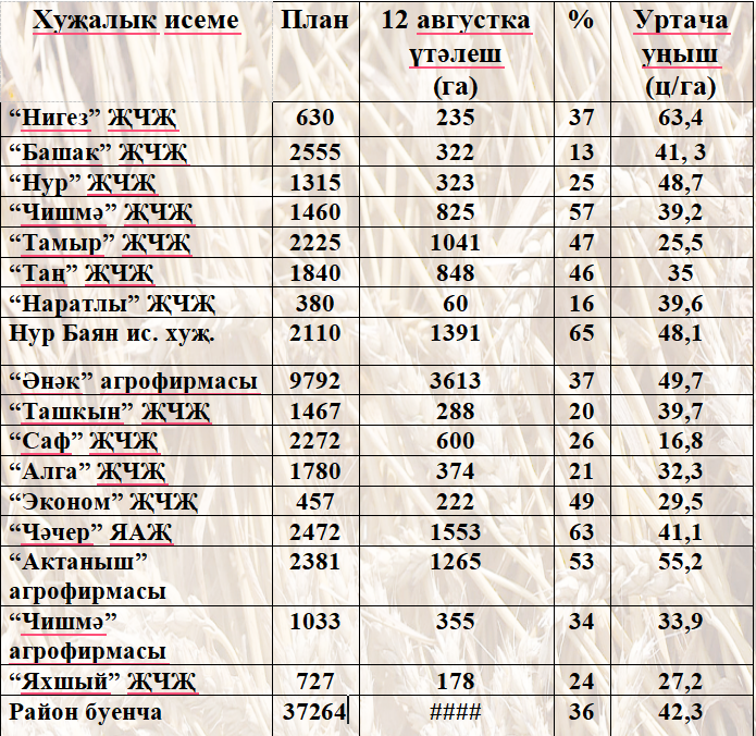 Актаныш районындагы бөртекле культураларның 36 проценты суктырып алынды (хуҗалыкларның эш күрсәткечләре)