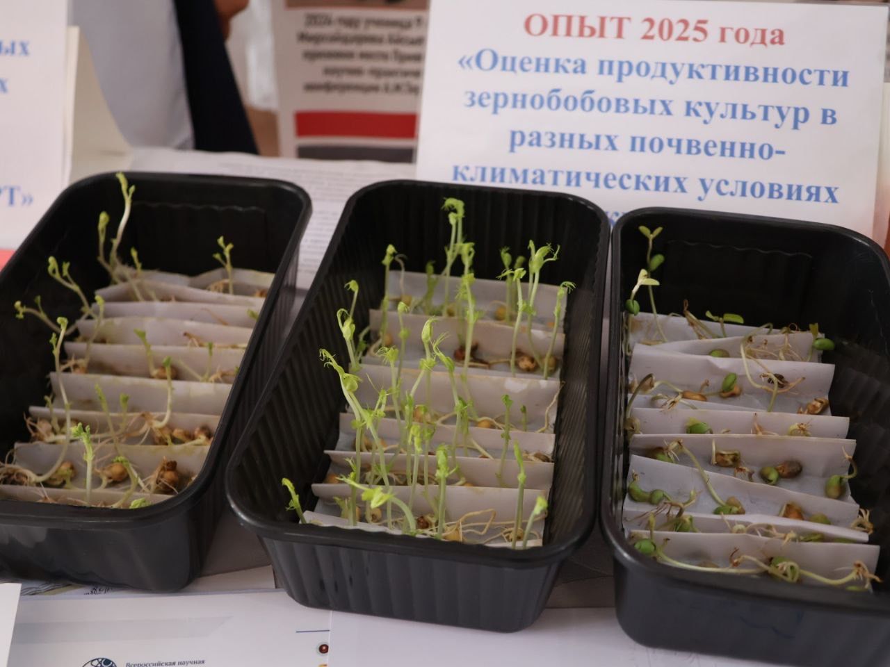 Актанышта педагогларның август конференциясе «Мәктәпкә әзерләнергә булыш» акциясе белән старт алды