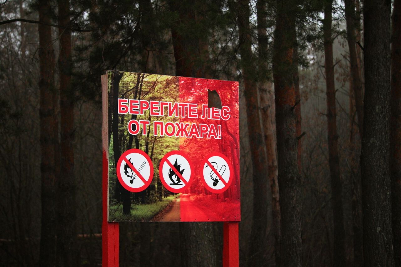 «Утны туктат!» Бөтенроссия янгынга каршы кампаниясе башланды