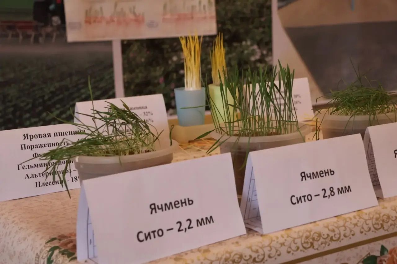 Нур Баян исемендәге хуҗалыкта язгы чәчүгә әзерлек мәсьәләләренә багышланган киңәшмә уза