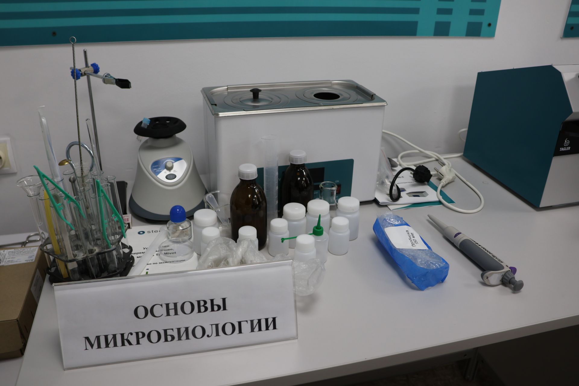 Авыл тормышына мәхәббәт: «Профдебют»та яшь ветеринарларны сынадылар