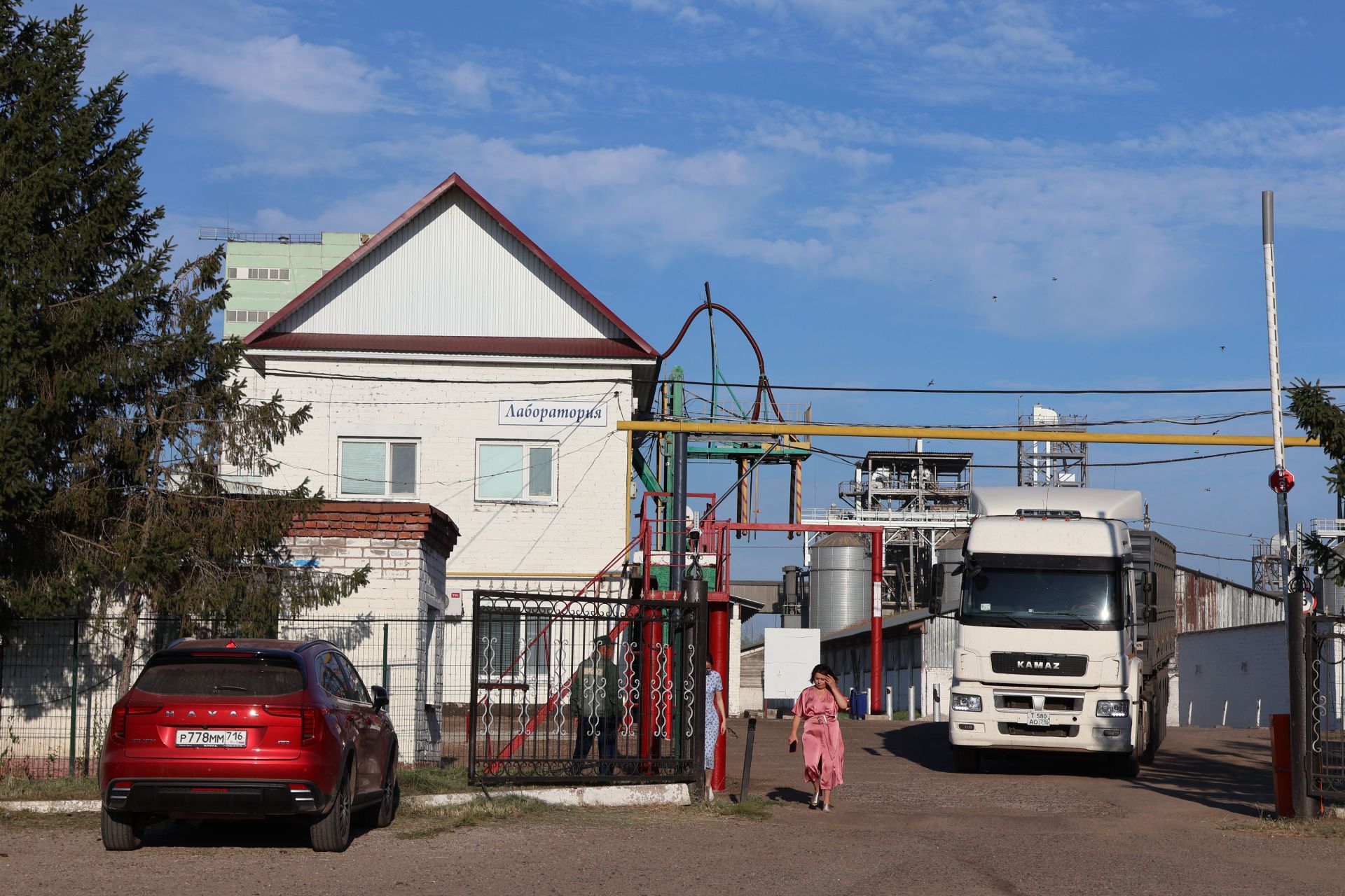 Алтын бөртекләр сакланган җирдә
