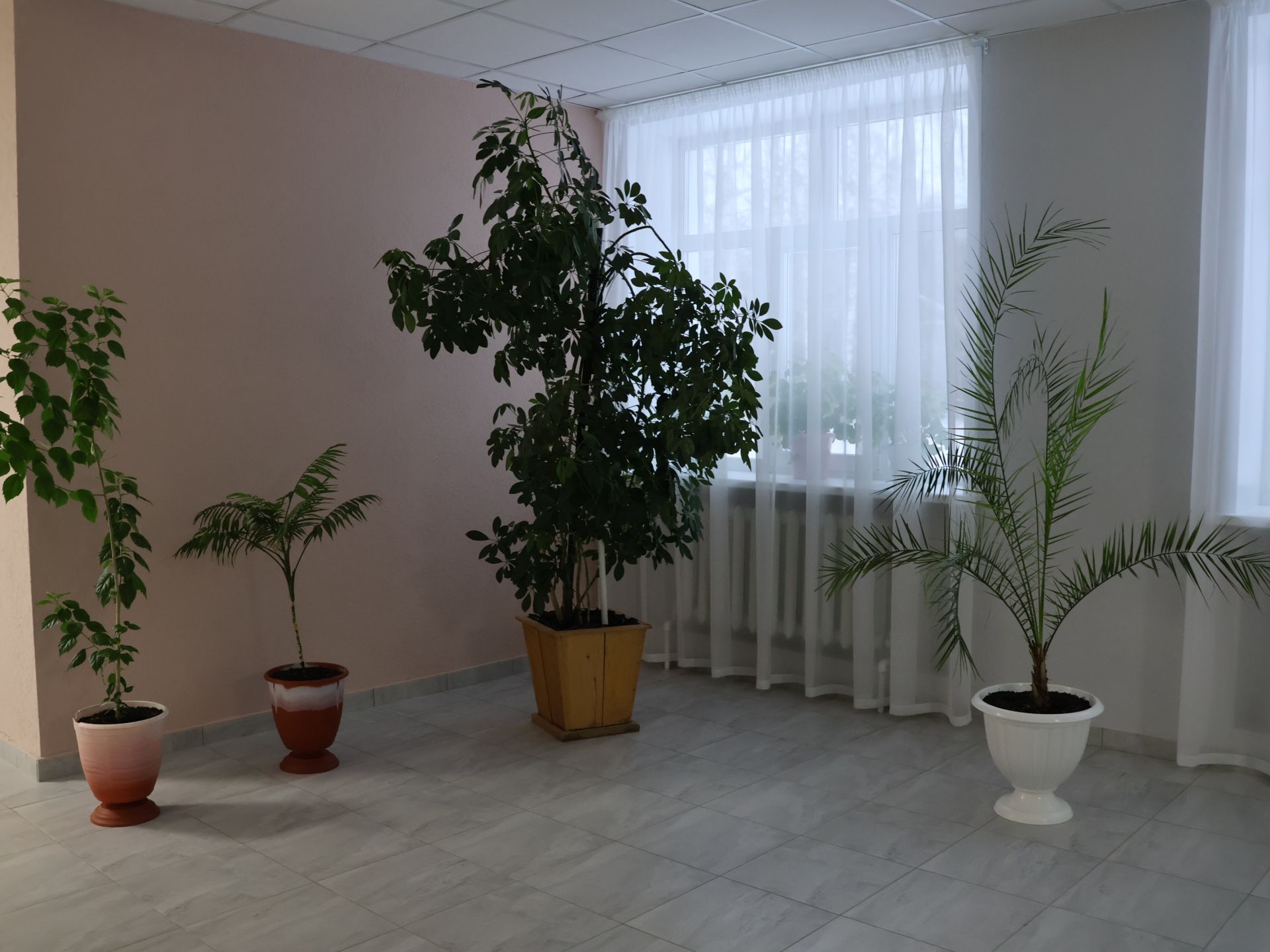 Авыл җирлекләренең Яңа елга бизәлеше