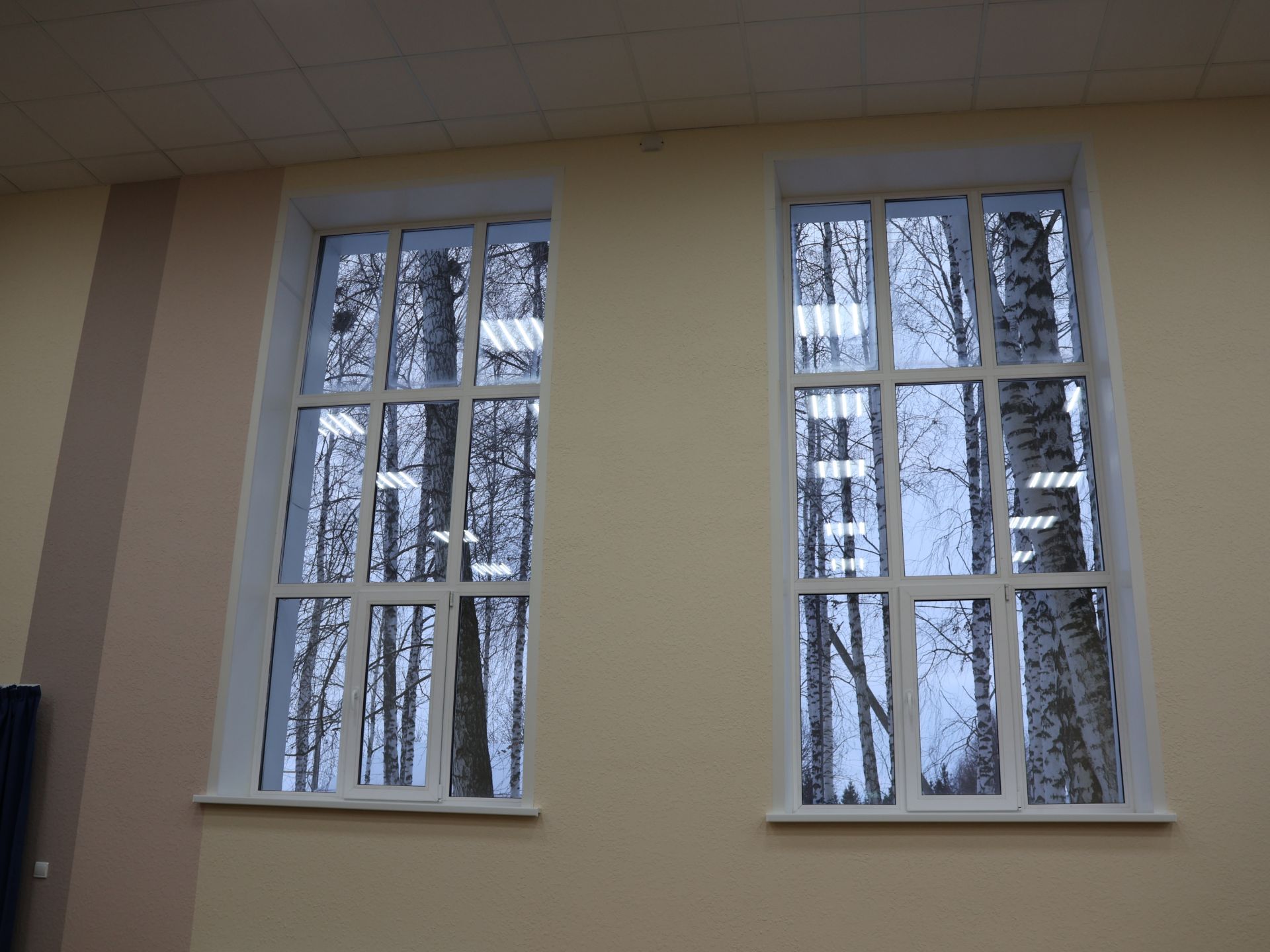 Авыл җирлекләренең Яңа елга бизәлеше