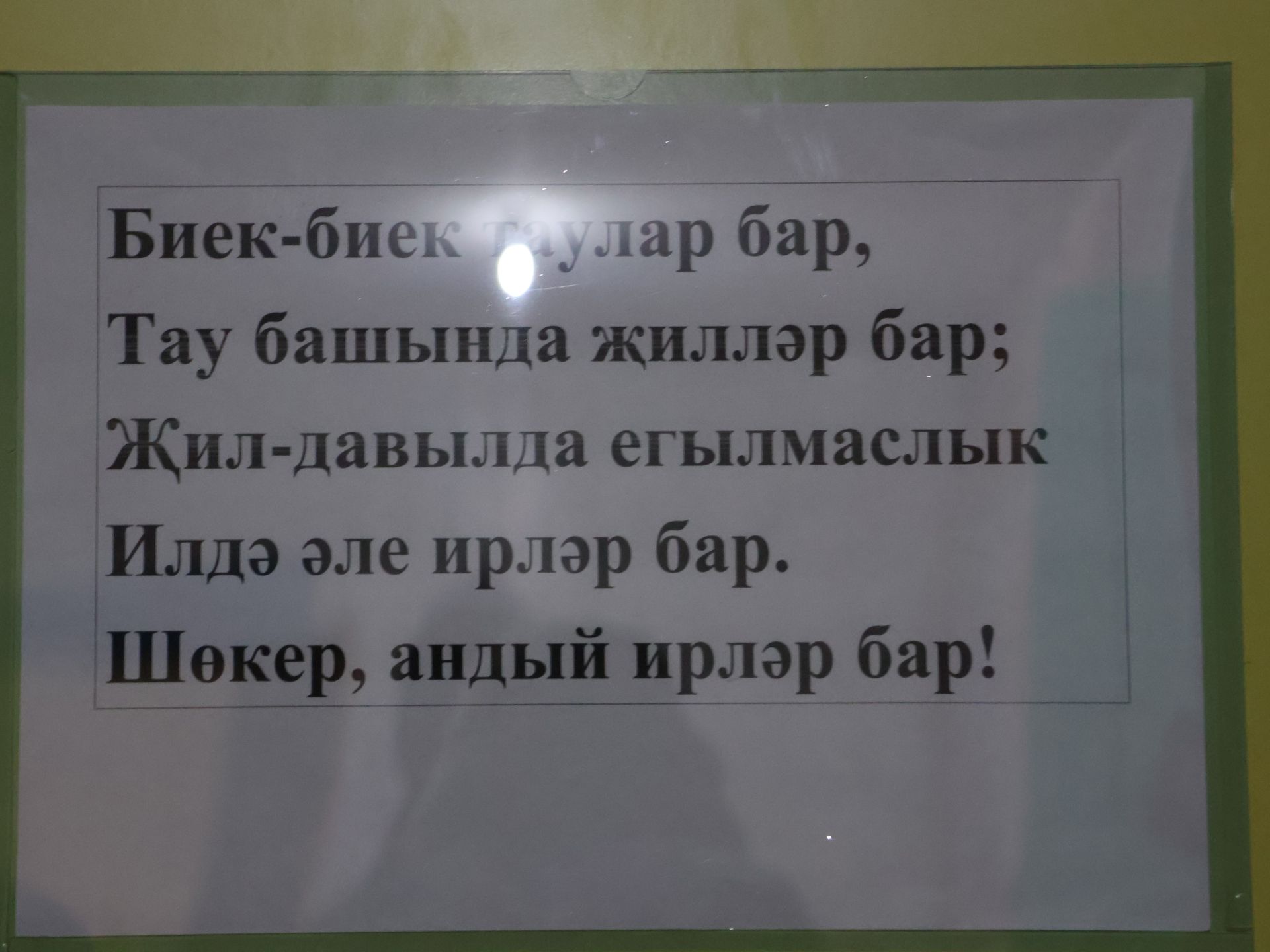 Авыл җирлекләренең Яңа елга бизәлеше