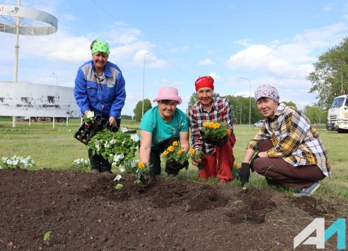 Актаныш Сабантуй алдыннан чәчәкләргә төрелә