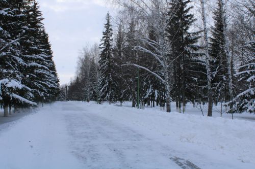 Безнең фотоларда - кышкы мизгелләр