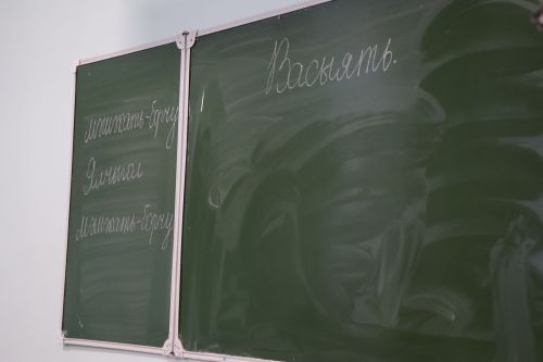 Яңа Әлем мәктәбеннән репортаж: «Татарча диктант» акциясе