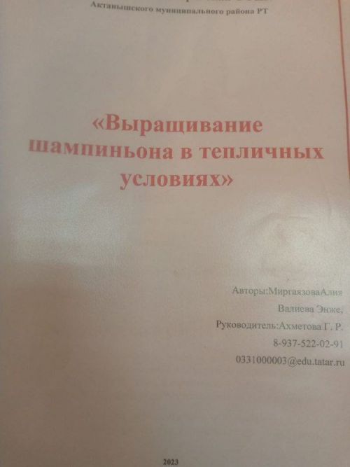 АКТАНЫШ ТӨБӘГЕ – ЯШЬ ЭШМӘКӘРЛӘР БИШЕГЕ