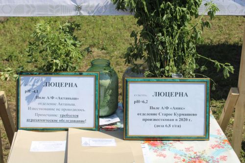 Бүген Актанышта республикакүләм Сенаж көне узды (фотолар)