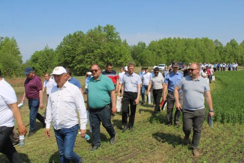 Бүген Актанышта республикакүләм Сенаж көне узды (фотолар)
