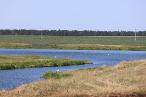 Басуларда хезмәт шавы: Эшләр тулы куәт белән бара