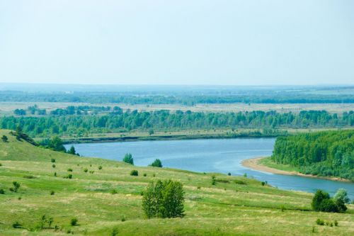 Урман шырпыны яратмый