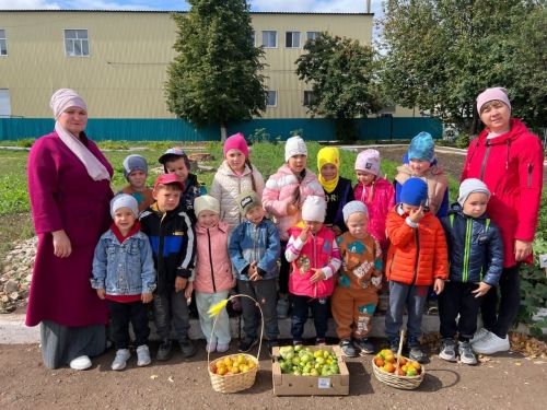 Яңа Әлем балалар бакчасы нәниләре үзләре үстергән уңышны җыйды