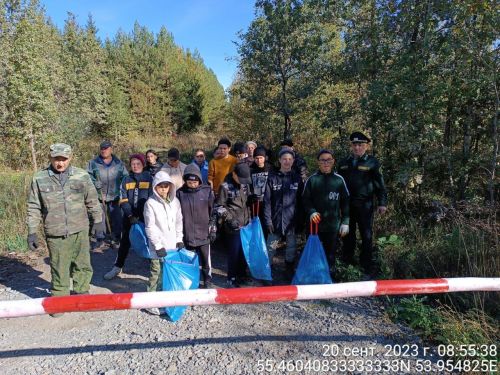 Алар- табигать дуслары: Кадетлар федераль юл янындагы урманнарны чистартты
