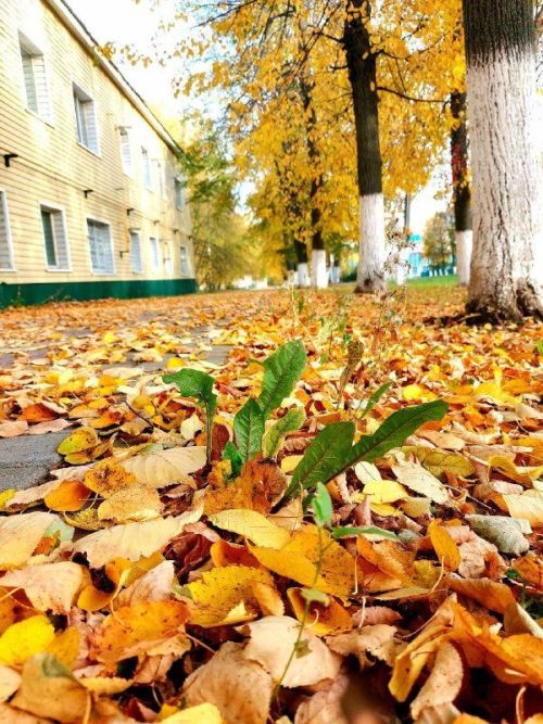 Бу ялларда Татарстанда һава торышының үзгәрүе көтелә