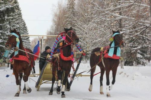 Мәскәүдә ишеп яуган кар Татарстанның көнчыгышына килеп җитмәячәк