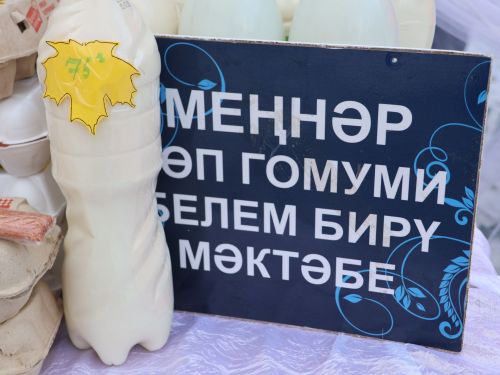 Актаныш мәктәпләре һәм балалар бакчалары Халыклар бердәмлеге көне ярминкәсендә