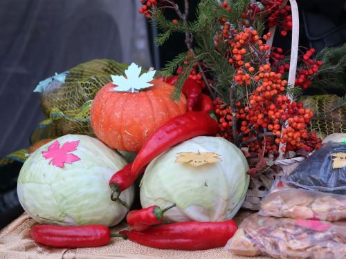 Актаныш мәктәпләре һәм балалар бакчалары Халыклар бердәмлеге көне ярминкәсендә
