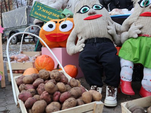 Актаныш мәктәпләре һәм балалар бакчалары Халыклар бердәмлеге көне ярминкәсендә