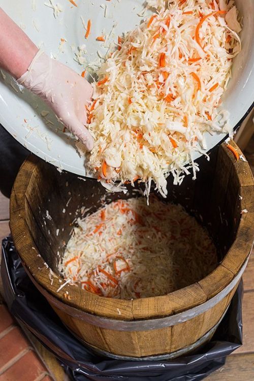 Яңа елга кәбестә тозлап куйыйк