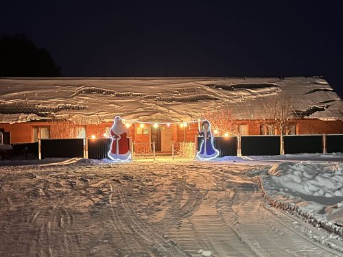 Актаныш районы авылларының Яңа елга бизәлеше белән танышыгыз- фотолар