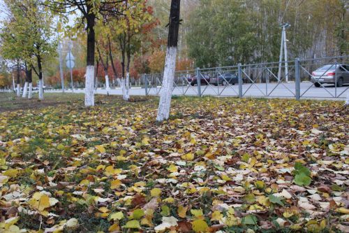 Татарстанда әбиләр чуагы октябрь башына кадәр дәвам итәчәк.