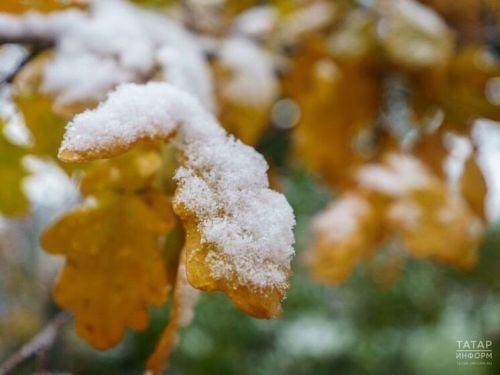 Һава торышы атна буе «температура аттракционы»н хәтерләтәчәк