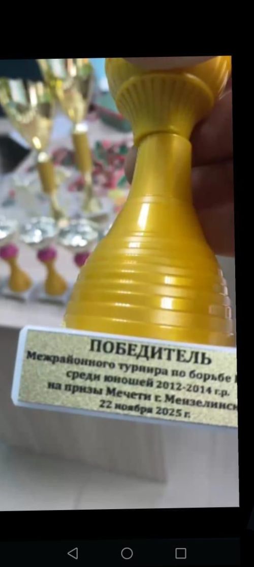 Пучы көрәшчеләре- җиңүче!