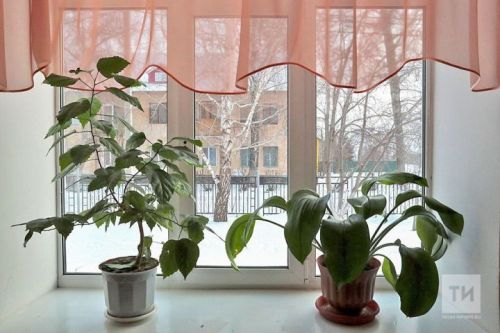 Гөл савытындагы ак куныктан ничек котылырга?