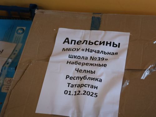 Актанышлылар махсус хәрби операция зонасына чираттагы гуманитар йөк җибәрде