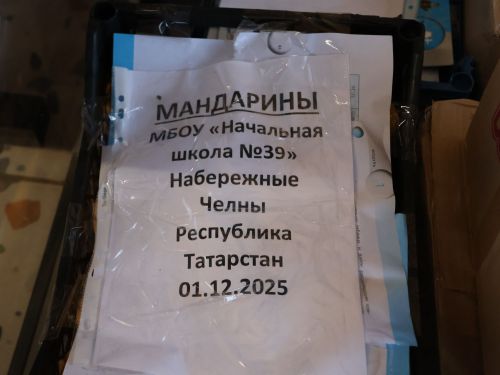 Актанышлылар махсус хәрби операция зонасына чираттагы гуманитар йөк җибәрде