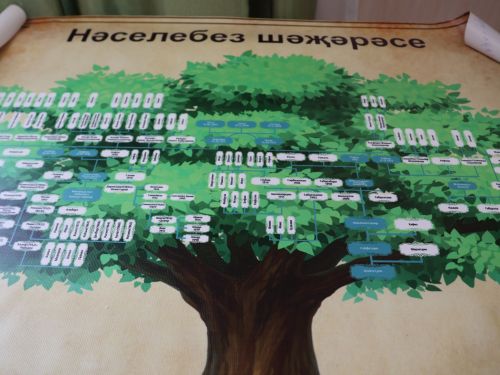 Актаныш укучылары шәҗәрә төзи белә!