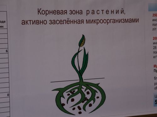 Актаныш районы аграрийлары язгы кыр эшләренә әзер (фотолар)