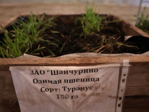 Актаныш районы аграрийлары язгы кыр эшләренә әзер (фотолар)
