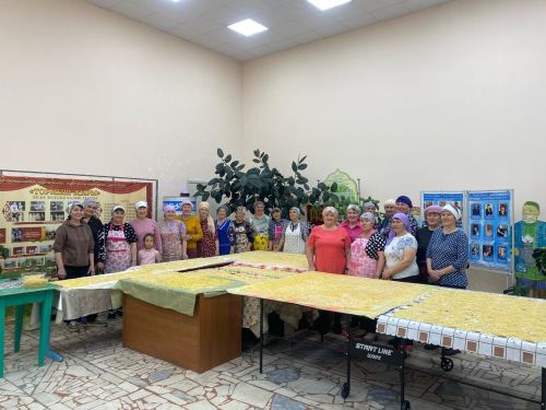 Иске Богады хатын-кызлары хәрбиләргә токмач кисте