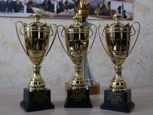 Җиңүнең 80 еллыгына багышлап, Актаныш районы  башлыгы Кубогына шахмат турниры башланды